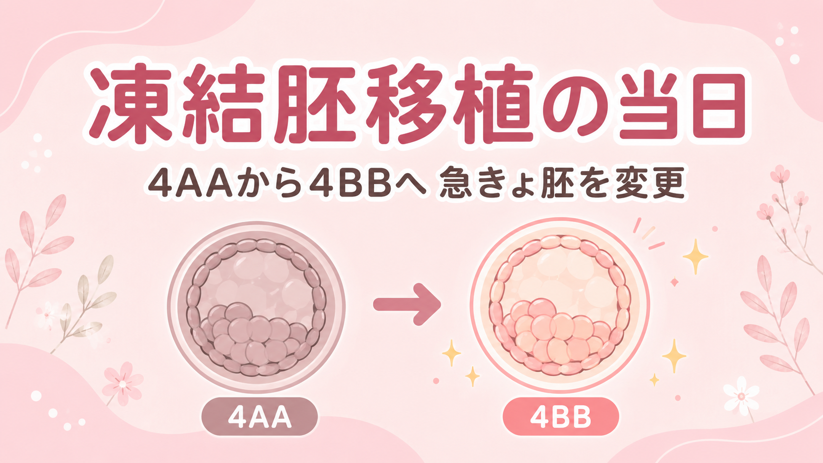 凍結胚移植の当日。4AAから4BBへ急きょ胚を変更